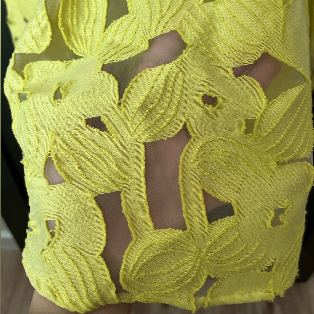 Antonio Melani Leta Organza Jacquard lace midi dress - Picture 6 of 6